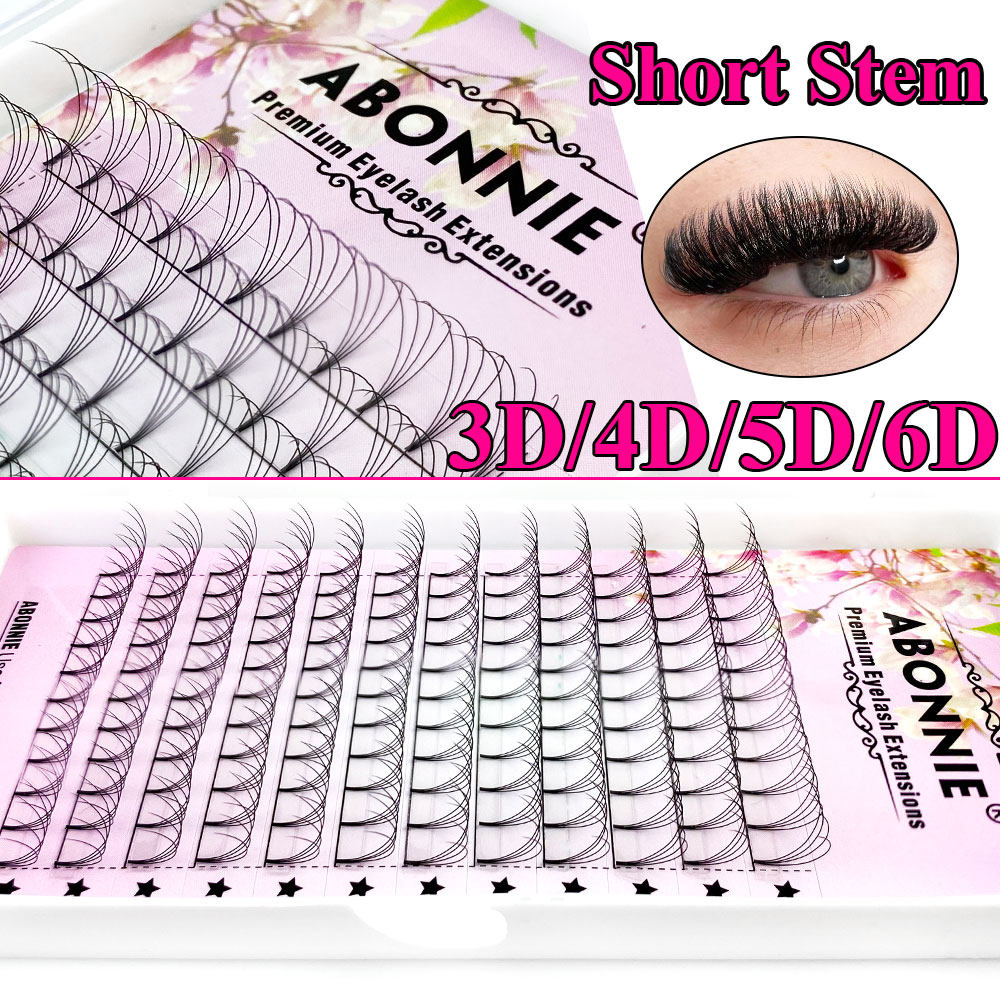 Abonnie 6D Narrow Fan Premade  - Lash Fan Volume recensione e prezzo