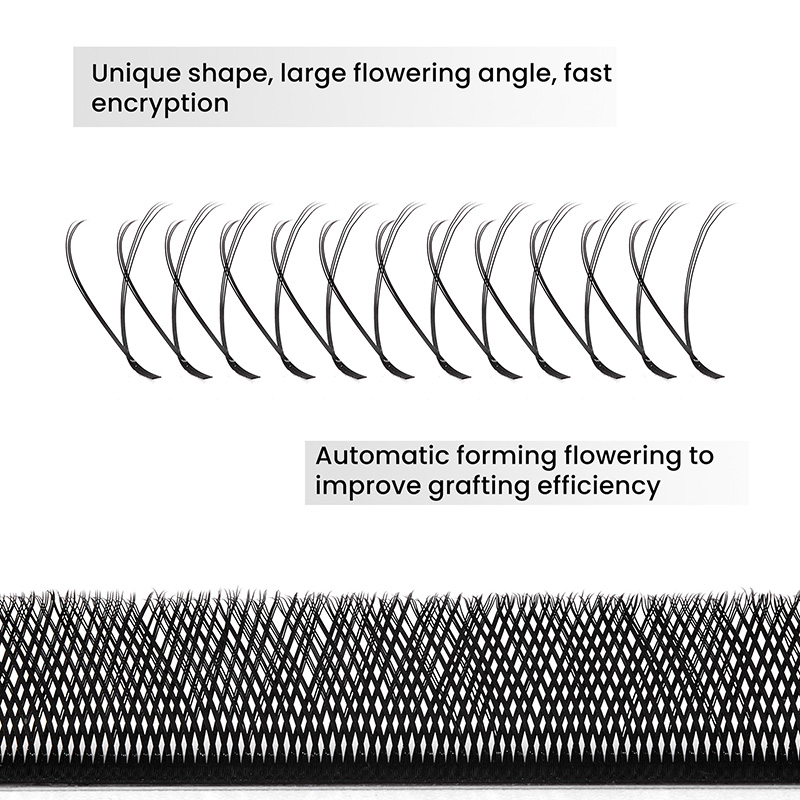 10PCS Extension Ciglia YY a Fo - Lash Fan Volume recensione e prezzo